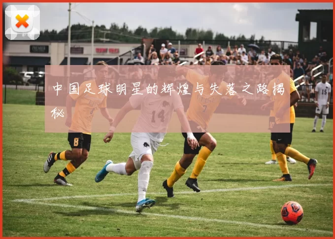 中国足球明星的辉煌与失落之路揭秘