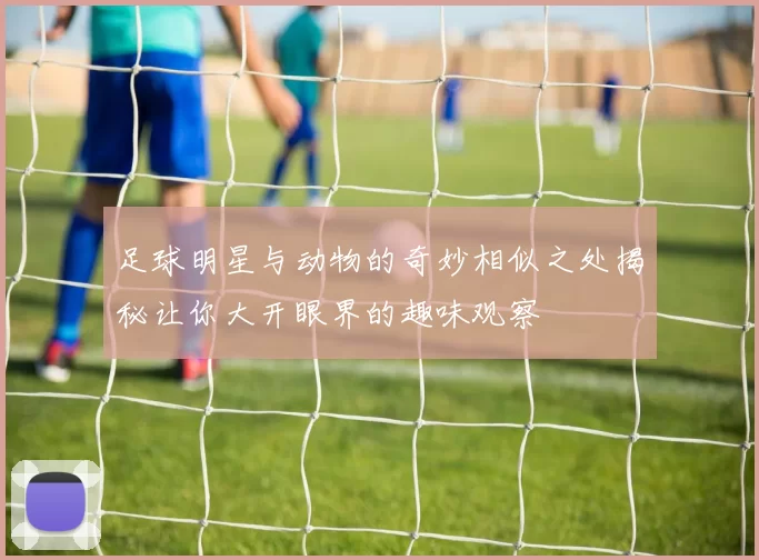 足球明星与动物的奇妙相似之处揭秘让你大开眼界的趣味观察