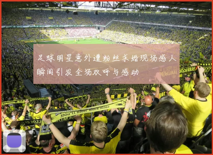 足球明星意外遭粉丝求婚现场感人瞬间引发全场欢呼与感动