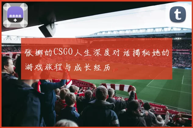 张娜的CSGO人生深度对话揭秘她的游戏旅程与成长经历