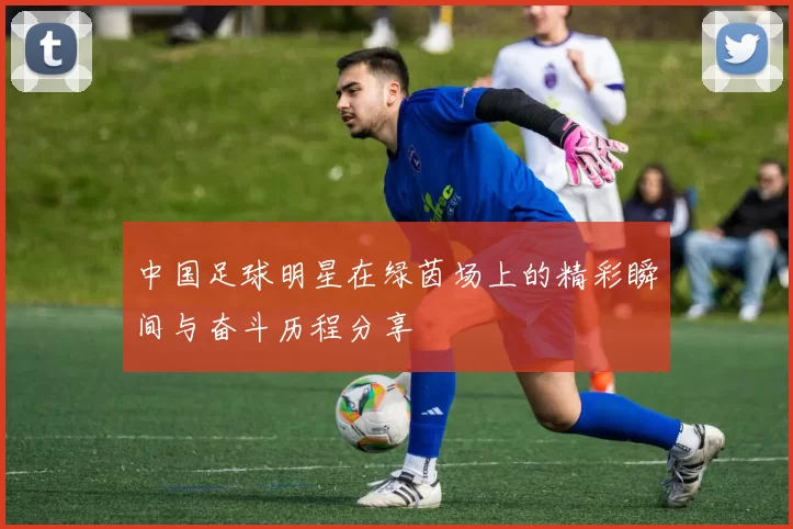 中国足球明星在绿茵场上的精彩瞬间与奋斗历程分享