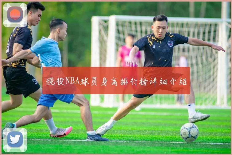 现役NBA球员身高排行榜详细介绍