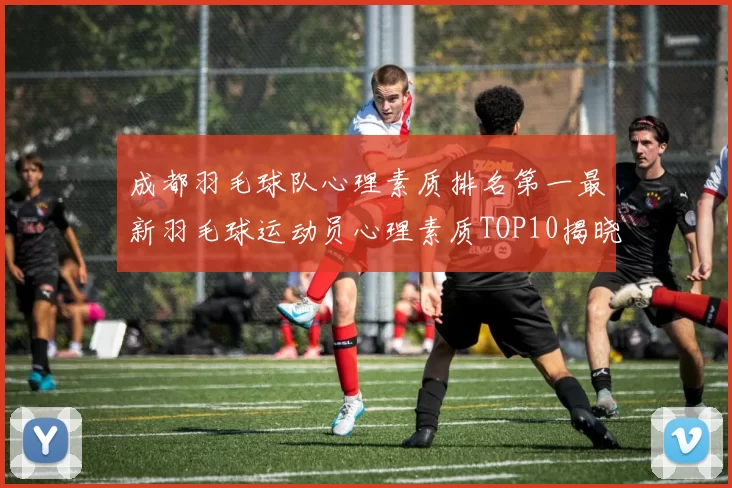 成都羽毛球队心理素质排名第一最新羽毛球运动员心理素质TOP10揭晓
