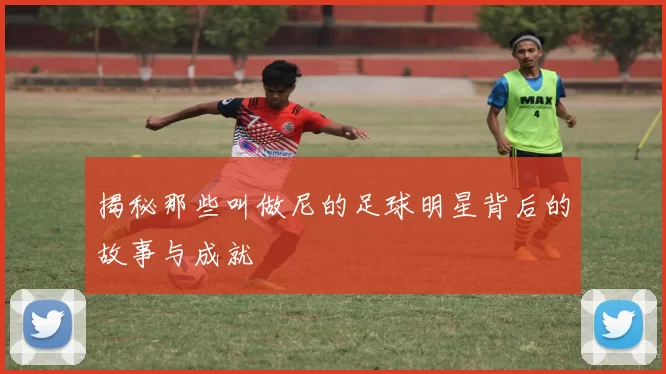 揭秘那些叫做尼的足球明星背后的故事与成就