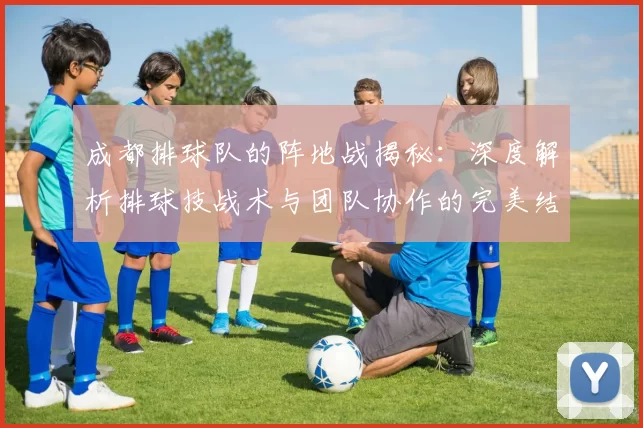 成都排球队的阵地战揭秘：深度解析排球技战术与团队协作的完美结合