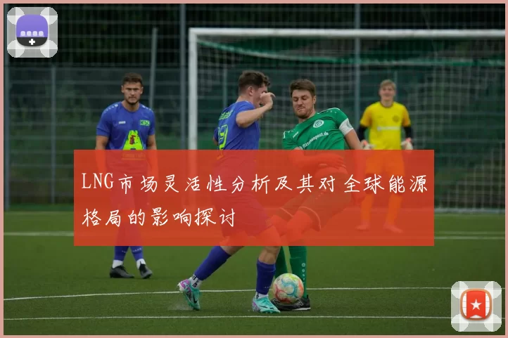 LNG市场灵活性分析及其对全球能源格局的影响探讨