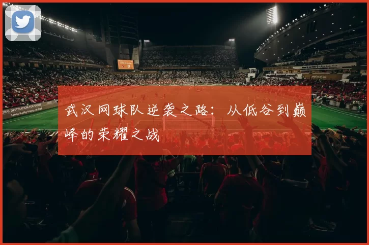 武汉网球队逆袭之路：从低谷到巅峰的荣耀之战