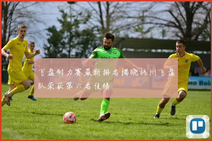 飞盘耐力赛最新排名揭晓杭州飞盘队荣获第六名佳绩