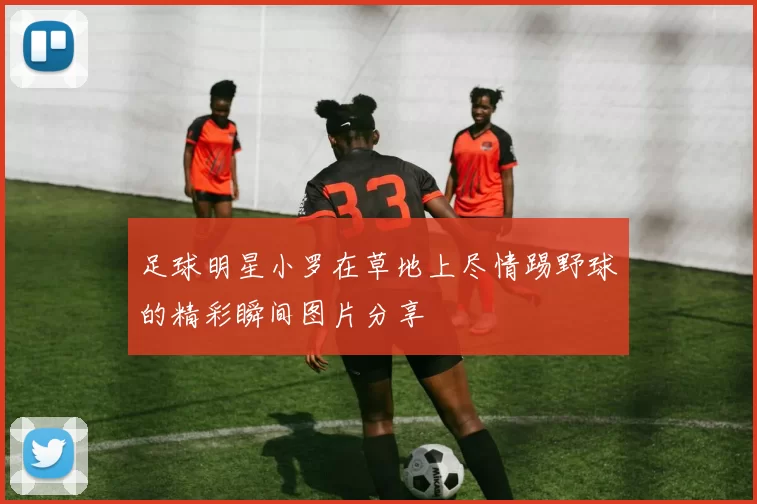 足球明星小罗在草地上尽情踢野球的精彩瞬间图片分享