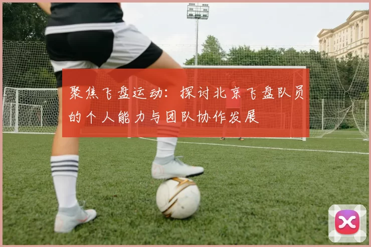 聚焦飞盘运动：探讨北京飞盘队员的个人能力与团队协作发展