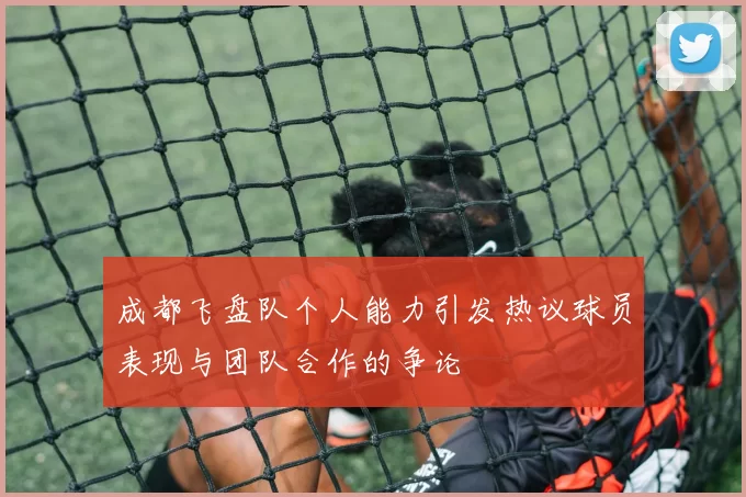 成都飞盘队个人能力引发热议球员表现与团队合作的争论