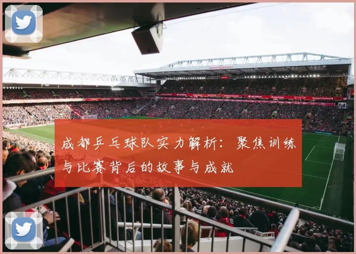 成都乒乓球队实力解析：聚焦训练与比赛背后的故事与成就