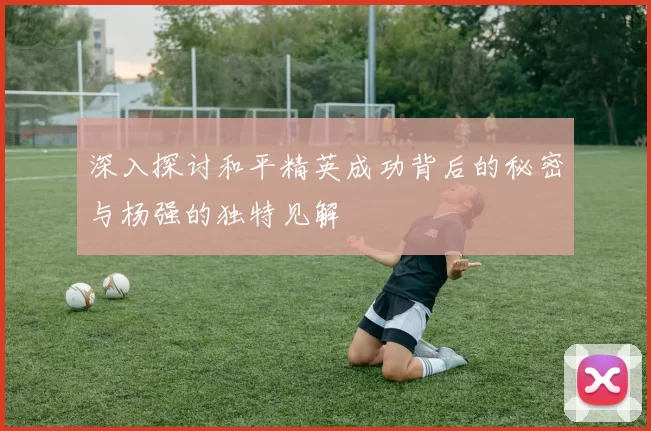 深入探讨和平精英成功背后的秘密与杨强的独特见解