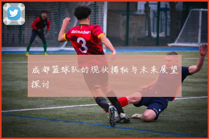 成都篮球队的现状揭秘与未来展望探讨