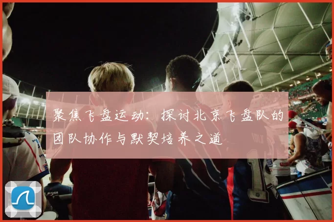 聚焦飞盘运动：探讨北京飞盘队的团队协作与默契培养之道