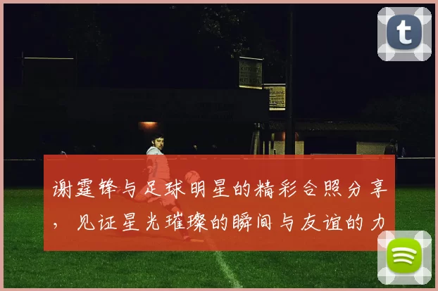 谢霆锋与足球明星的精彩合照分享，见证星光璀璨的瞬间与友谊的力量